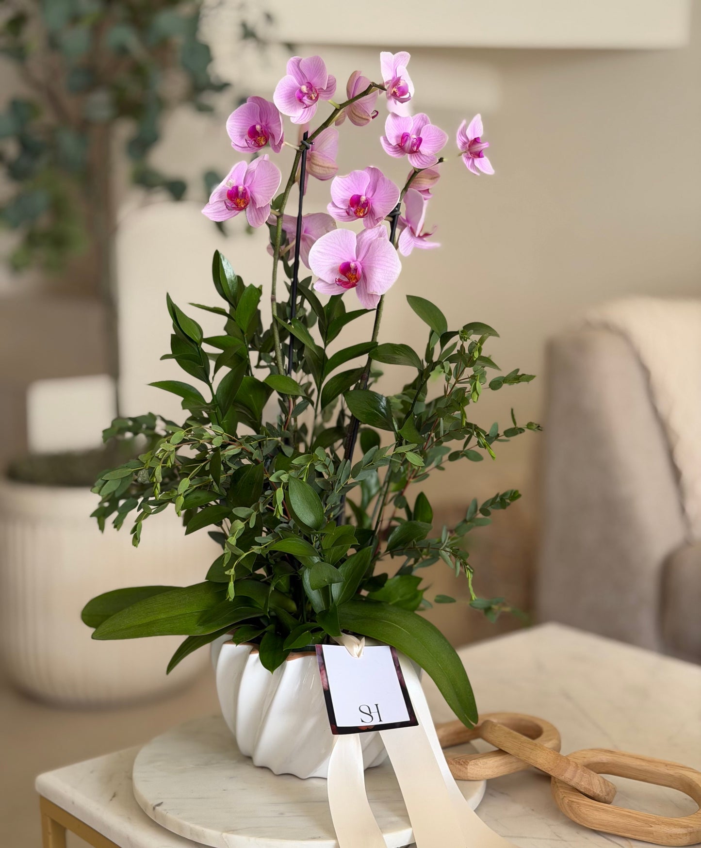 Orchids